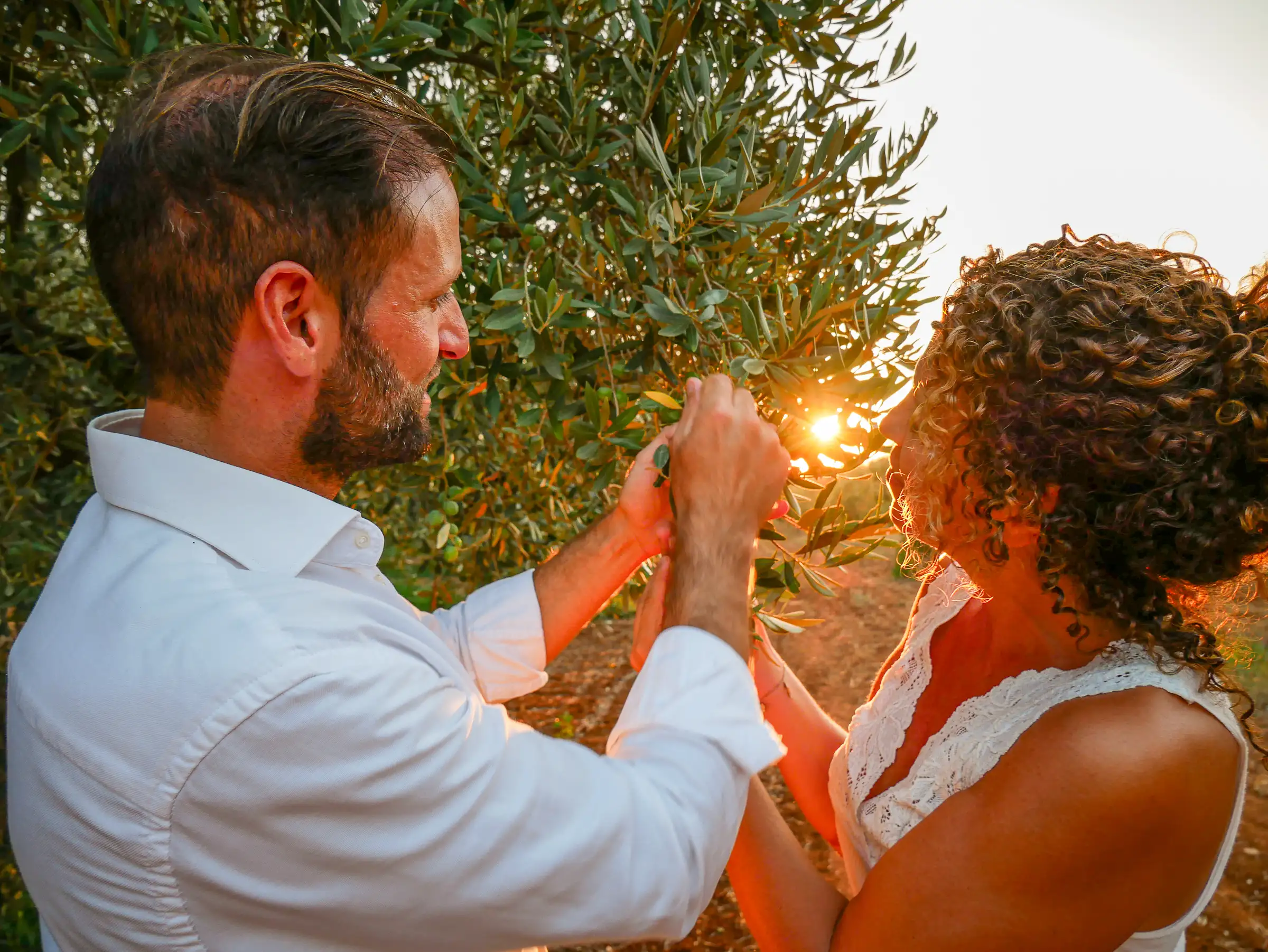 Coppia tra gli ulivi al tramonto, Valle del Belice